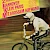 BMX Sport 3/1986