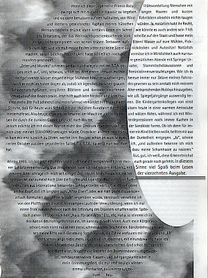 Laber 'Zine 14 / 1995 Seite 5