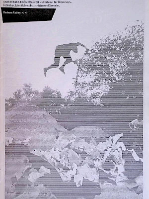 Laber 'Zine 14 / 1995 Seite 9