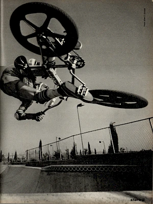 Stern 17 / 1981 Seite 3