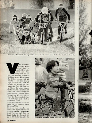 Stern 17 / 1981 Seite 4