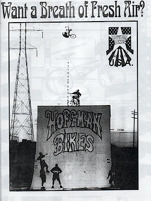 DFO Newsletter 1/1992 Seite 13